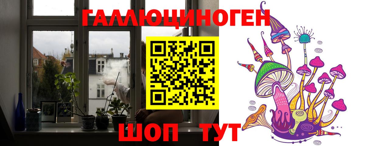 Галлюциногенные грибы прущие грибы Волоколамск