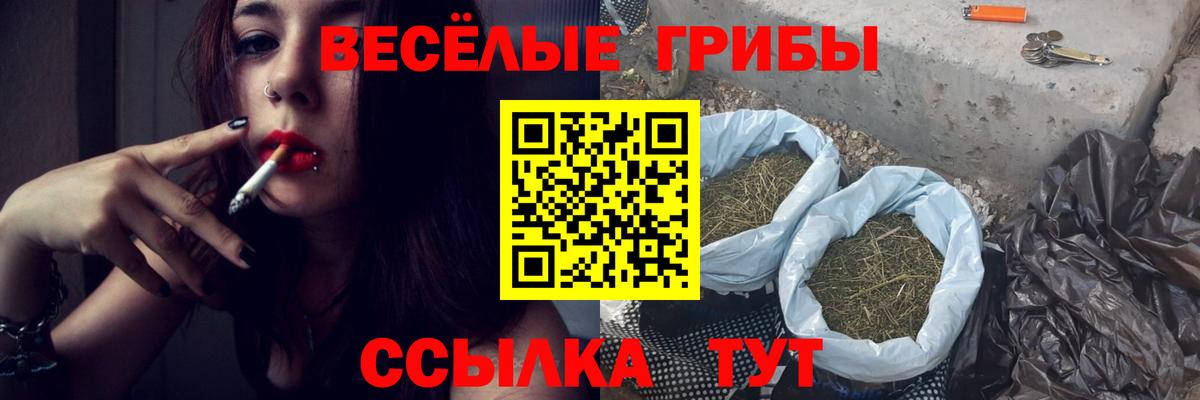 Галлюциногенные грибы MAGIC MUSHROOMS  Вход с VPN  Волоколамск 